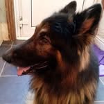 Gary Hope - @garyhope45 - Instagram