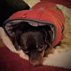 Gary Hopps - Facebook