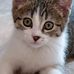 Gary Horimoto - Facebook