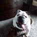 Gary Horning - Facebook