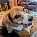 Gary Horninger - @garyhorninger - Instagram