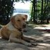 Gary Horst - Facebook