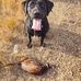 Gary Horst - Facebook