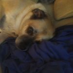 Gary Host - @gary.host.52 - Instagram