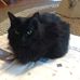 Gary R Houle - Facebook