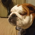 Leigh Gary Howie - @howieleigh886 - Instagram