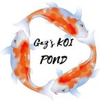 Gary Hoyle - @gazskoipond - Instagram