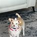 Gary Houck - Facebook
