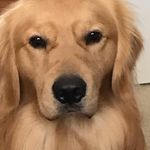 Gary S Huff - @garyhuff - Instagram