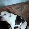 Gary Hunt - @gary.hunt29 - TikTok