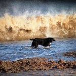 Gary Huntley - @gary_huntley - Instagram