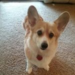 Gary Huntley - @lgaryhuntley - Instagram