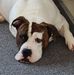 Gary Huston - Facebook