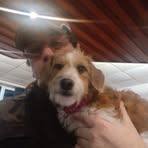 Gary Hutton - Facebook