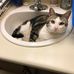 Gary Hutton - Facebook