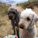 gary hutton - @hutton6857 - Instagram