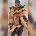Gary Isaac Johnson - @robotmongoose - Instagram