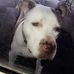 Gary Isom - Facebook