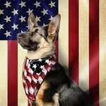 Gary.janes669 - @gary.janes09856 - Instagram
