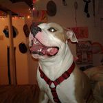 Gary Jankowski - @gary.jankowski.18 - Instagram
