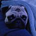 Gary Jankowski - Facebook