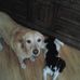 Gary Jarrett - Facebook