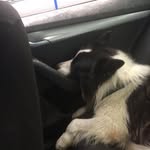 Gary Johnstone - @gary.johnstone.543 - Instagram