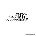 Gary Johnstone - @burghfalconry - Instagram