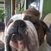 Gary Johnstone - Facebook