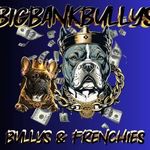 Gary Joyner - @bigbankbullyskennells - Instagram
