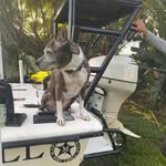 Gary Julius Pater Jr. - @gunplay239 - Instagram