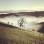 Gary justice - @garyjustice2496 - Instagram