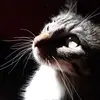 Gary Justice - @gary.justice5 - TikTok