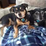 Gary Karp - Facebook