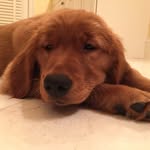 Gary Katzman - @garymkat - Instagram