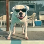 Gary Keen - @keen_gary - Instagram