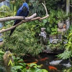 Gary Kessler Jr. - @harlansgardens - Instagram