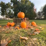 Gary Kidney - @gary_kidney_photos - Instagram