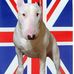 Gary Keinzley - Facebook