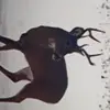garykiessel - @garykiessel - TikTok