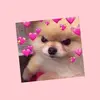 💗 - @kijankaa123 - TikTok