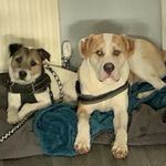 Gary Killeen - @gizkilleen - Instagram