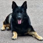 Gary Kimsey - @garykimsey - Instagram