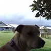 Gary Kimura - @gary.kimura - TikTok