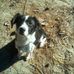 Gary Kinder - Facebook