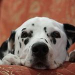 Gary Kirkpatrick - @gary.kirkpatrick.545 - Instagram