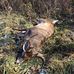 Gary Kistler - Facebook