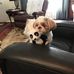 Gary Kistner - Facebook