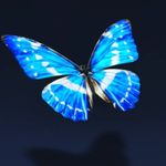 Gary kitts - @gary.kitts - Instagram