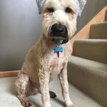 Gary Klann - @ridercoach99 - Instagram